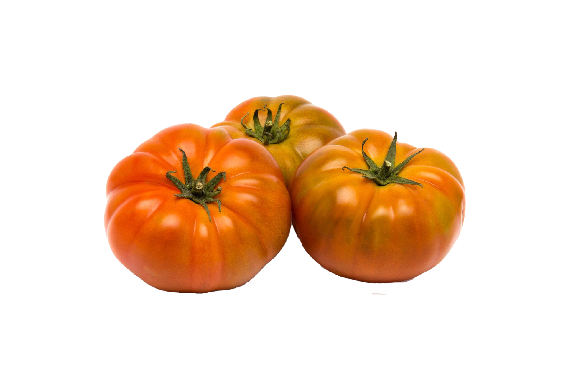 Pomodoro Costoluto